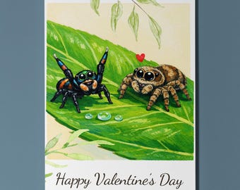 Funny Animals Collection – Jumping Spider Happy Valentine's Day Card - Premium Greeting Card Envelope - Personalised - Couples Girlfriend