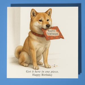 Shiba Inu - Chien - Livré ici en un seul morceau - Carte de joyeux anniversaire - Enveloppe de carte de voeux premium - Carte amusante personnalisée - Ami de la famille