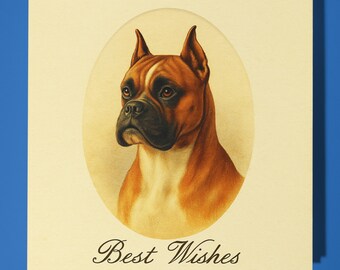 Antique postcard collection - Boxer Dog - Best Wishes Happy Birthday Card - Premium Greeting Card and Envelope - Personalised card - Friend