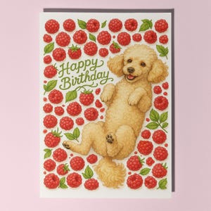 Puede incluir: Tarjeta de felicitación con una ilustración de caniche marrón claro rodeado de frambuesas rojas y hojas verdes. Las palabras "Happy Birthday" están escritas en verde. La tarjeta tiene un fondo blanco y un borde rosa.