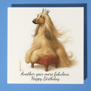 Afghan Hound - More fabulous.  - Happy Birthday Card - Premium Greeting Card and Envelope - Personalised funny dog card - Friend Family Son