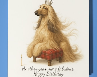 Afghan Hound - More fabulous.  - Happy Birthday Card - Premium Greeting Card and Envelope - Personalised funny dog card - Friend Family Son