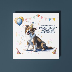 Border Collie razza di cane zampe-itivamente sorprendente biglietto di auguri di buon compleanno biglietto di auguri di animali divertenti per amanti degli animali biglietto di auguri premium e busta