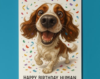 Dog Breeds Collection - Snout Party - Spaniel Dog - Happy Birthday Card - Funny Animal -Premium Greeting Card Envelope - Personalised card