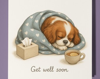 Cavalier King Charles Spaniel - Get Well Soon Card - Funny Animal - Premium Greeting Card & Envelope - Personalised Dog card - Friend Family