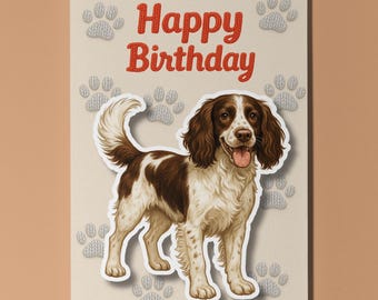 Springer Spaniel Dog - Pop Pets 3D Collection Happy Birthday Card - Funny Animal Premium Quality Greeting Card & Envelope Personalised card