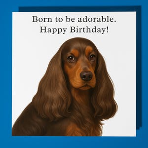 Cocker Spaniel - Nato per essere adorabile - Biglietto di auguri di buon compleanno - Busta per biglietti di auguri premium - Biglietto divertente personalizzato - amico figlio figlia