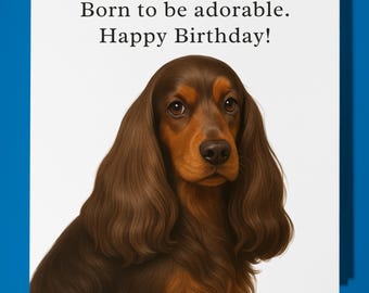 Cocker Spaniel - Born to be adorable - Happy Birthday Card - Premium Greeting Card Envelope - Personalised funny card - friend Son Daughter