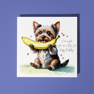 Yorkshire Terrier carino fatto a mano con banana biglietto di auguri di buon compleanno - biglietto di auguri divertente per gli amanti degli animali biglietto di auguri premium con busta bianca