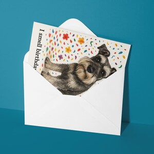 May include: A white envelope with a greeting card featuring a Schnauzer dog illustration. The card has the text "I smell birthday" and colorful confetti and flower designs. The envelope is on a teal background.