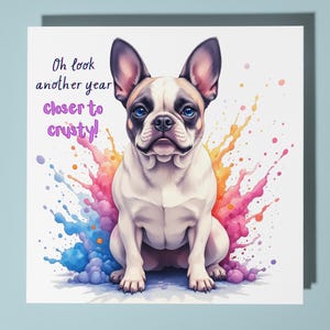 Gelukkige verjaardagskaart Franse Bulldog - grappige dieren Premium wenskaart en envelop - gepersonaliseerde hondenkaart - zoon zus vriend dochter moeder