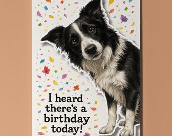 Border Collie  dog - Pop Pets 3D appliqué Collection - Birthday card -  Funny dog - Dog Breeds - Premium Card and Envelope - Personalised