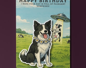 Border collie - Flying saucer - UFO - Pop Pets 3D appliqué - Birthday card -  Funny dogs - Dog Breeds - Premium Card Envelope - Personalised