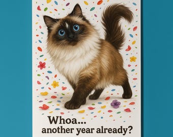 Cat Breeds Collection - Don’t Look Away - Ragdoll Cat - Birthday Card - Funny Cat - Premium Greeting Card and Envelope - Personalised card