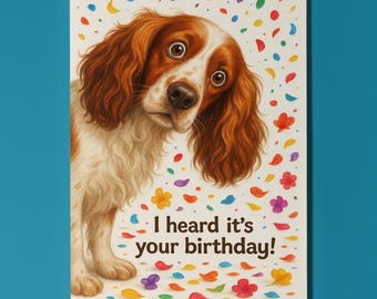 Dog Breeds Collection - Don’t Look Away -  Spaniel  dog - Birthday Card - Funny Animal - Premium Greeting Card Envelope - Personalised card