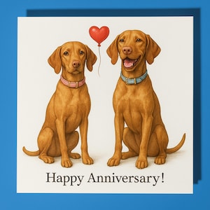 Cani Vizsla - Biglietto di auguri per il buon anniversario con animali divertenti - Busta per biglietti di auguri premium - Biglietto di auguri personalizzato con cane - Marito, fidanzato, moglie