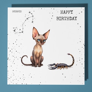 Cartão de feliz aniversário de Escorpião Animal engraçado - Cartão de felicitações premium e envelope - Cartão personalizado do signo do zodíaco - Filho Irmã Amigo Mãe Filha