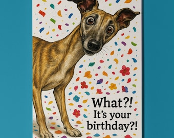 Dog Breeds Collection - Don’t Look Away - Whippet Dog - Birthday Card - Funny Animal - Premium Greeting Card & Envelope - Personalised card