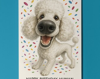 Dog Breeds Collection - Snout Party - Poodle Dog  - Happy Birthday Card - Funny Animal -Premium Greeting Card Envelope - Personalised card