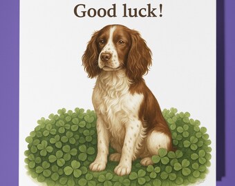 Springer Spaniel - four-leaf Clover Good Luck Card - Personalised Dog card Funny Animal Card Premium Greeting Card & Envelope -Family Friend