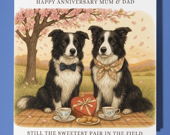 Two Border Collies - Happy Anniversary Mum & Dad  Card  Funny Animal - Premium Greeting Card Envelope - Personalised Dog card - Mother