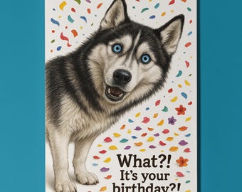 Dog Breeds Collection - Don’t Look Away - Husky  Dog - Birthday Card - Funny Animal - Premium Greeting Card and Envelope - Personalised card