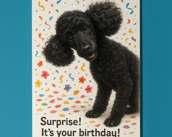 Dog Breeds Collection - Don’t Look Away - Poodle dog - Birthday Card - Funny Animal - Premium Greeting Card and Envelope - Personalised card