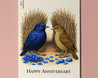 Animal Hugs Series Bowerbirds True Blue Love Happy Anniversary Card  Premium Greeting CardEnvelope Personalised Couples Husband Bird Watcher