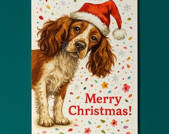 Spaniel Dog - Don’t Look Away - Merry Christmas Card - Funny Dog Breeds - Premium Greeting Card & Envelope - Personalised card - Friend