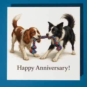 Spaniel und Border Collie Hunde - Happy Jubiläum Karte Lustiges Tier - Premium Grußkarte & Umschlag - Personalisierte Hundekarte - Ehemann