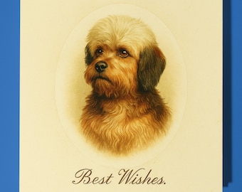 Antique postcard collection - Dandie Dinmont Terrier - Best Wishes Happy Birthday Card - Premium Greeting Card &Envelope - Personalised card
