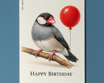 Animal Hugs Series Java Sparrow: Elegant Birthday Happy Birthday Card Premium quality Greeting Card  Envelope Personalised Friends Family