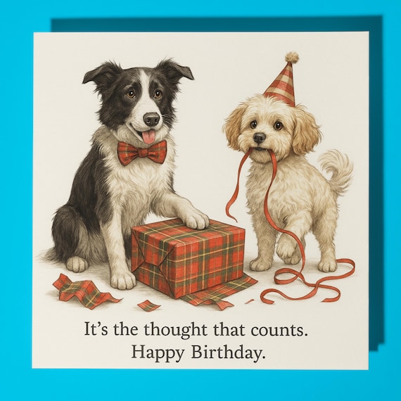 1 x biglietto d'auguri – Border Collie Dog Animal – bianco compleanno celebrazione anniversario #59569
