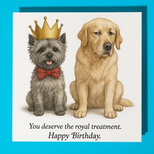 Cairn Terrier e Golden Retriever - Biglietto di auguri di buon compleanno - Biglietto di auguri premium e busta Biglietto di auguri divertente personalizzato con cane - Amici e famiglia
