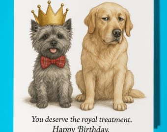 Cairn Terrier and Golden Retriever - Happy Birthday Card - Premium Greeting Card & Envelope Personalised funny dog card - Friend Family