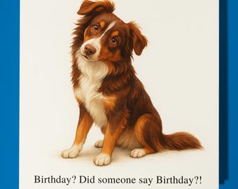 Border collie dog - Happy Birthday Card - Premium Greeting Card Envelope - Personalised funny card - friend Son Daughter
