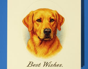 Antique postcard collection - Golden Retriever dog - Best Wishes Happy Birthday Card - Premium Greeting Card &Envelope - Personalised card