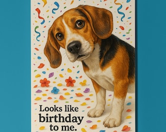 Dog Breeds Collection - Don’t Look Away - Beagle Dog - Birthday Card - Funny Animal - Premium Greeting Card & Envelope - Personalised card