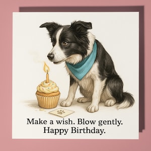Bordercollie Doe een wens. Blaas zachtjes.  - Fijne verjaardagskaart - Premium wenskaart Envelop Gepersonaliseerde grappige kaart - vriend familie
