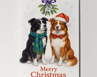 Border Collie Dogs Duo - Under the Mistletoe - Merry Christmas Card - Funny Dog - Dog Breeds Premium Greeting Card & Envelope - Personalised