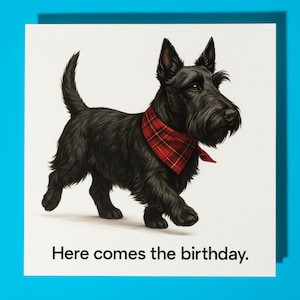 Scottish Terrier - Arriva il compleanno - Biglietto di auguri di buon compleanno - Biglietto di auguri premium e busta - Biglietto di auguri divertente personalizzato con cane - Amico