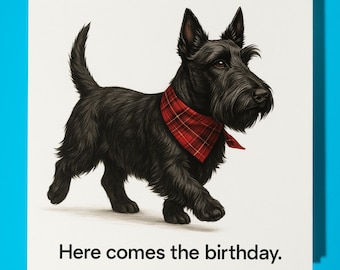 Scottish Terrier -  Here comes the birthday - Happy Birthday Card - Premium Greeting Card & Envelope - Personalised funny dog card - Friend