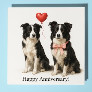 Tarjeta de aniversario de Border Collie - Animal divertido - Tarjeta de felicitación premium y sobre - Tarjeta de perro personalizada - Esposa, esposo, mamá, papá, novio