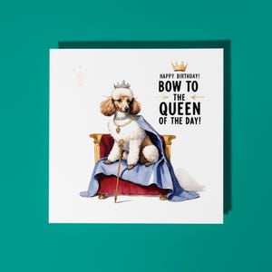 Fiocco fatto a mano per cani reali alla regina del giorno Biglietto di auguri di buon compleanno Biglietto di auguri divertente per animali Amanti degli animali Biglietto di auguri premium con busta bianca
