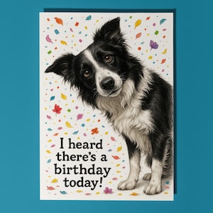 Può includere: Biglietto di auguri di compleanno con un cane Border Collie bianco e nero. Il biglietto recita: "Ho sentito dire che oggi è il compleanno!" Decorato con coriandoli colorati.