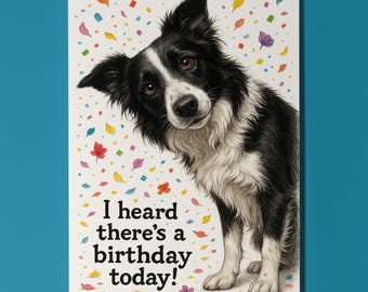 Dog Breeds Collection - Don’t Look Away Border Collie dog Birthday Card - Funny Animal - Premium Greeting Card Envelope - Personalised card