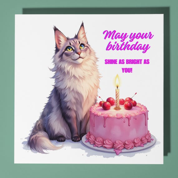 Divertente biglietto d'auguri dipinto con gatto e coriandoli come congratulazione per il bambino che compie gli anni: Happy Birthday Commercio all'ingrosso in linea