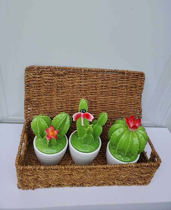 Sommer Kaktus Kche Glas Set mit rosa Akzent Kaktus Dekor Kche Sommer  Dekor Sammler Kaktus Haus Erwrmung Geschenkidee Kaktus Glas Set - Etsy.de