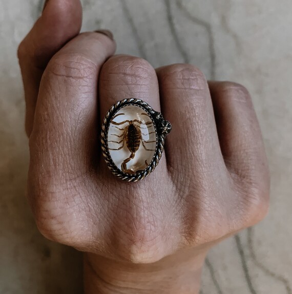 Real scorpion ring deals