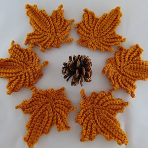 May include: Six crocheted maple leaves in a burnt orange color arranged in a circle around a small pine cone on a white background.